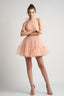 Rochie mini din tulle cu spatele gol