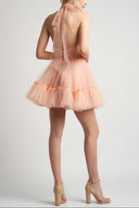 Tulle mini dress with open back